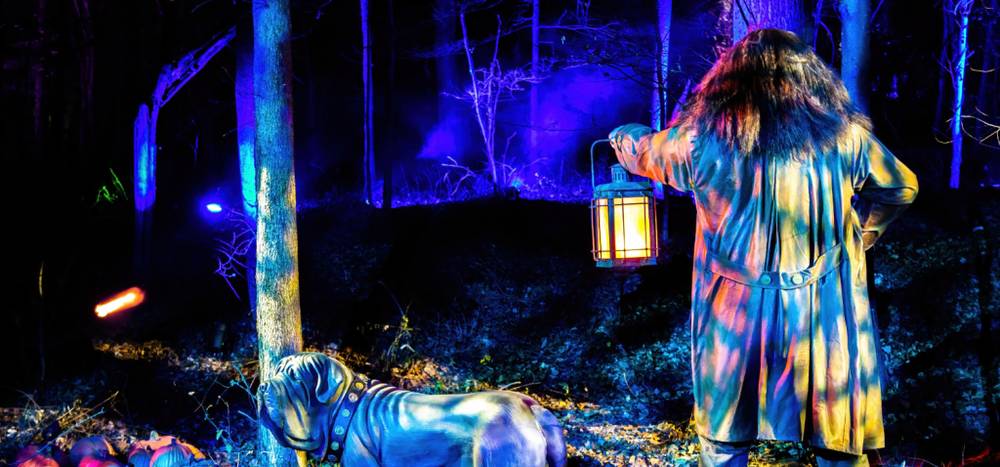 An old man stands with his back holding a lantern in the dark forest on the right. And there's a white dog on the left.