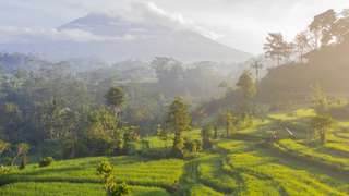 Bali tourist visas: A comprehensive guide for Australians, Alex Keshen