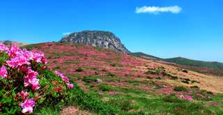 10 Rekomendasi Wisata Alam Jeju yang Tak Boleh Terlewatkan!, Xperience Team