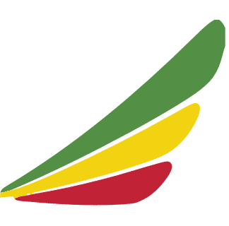 Ethiopian Airlines