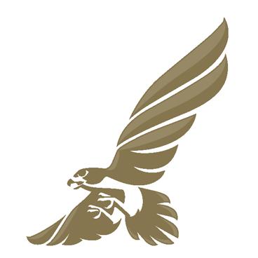 Gulf Air