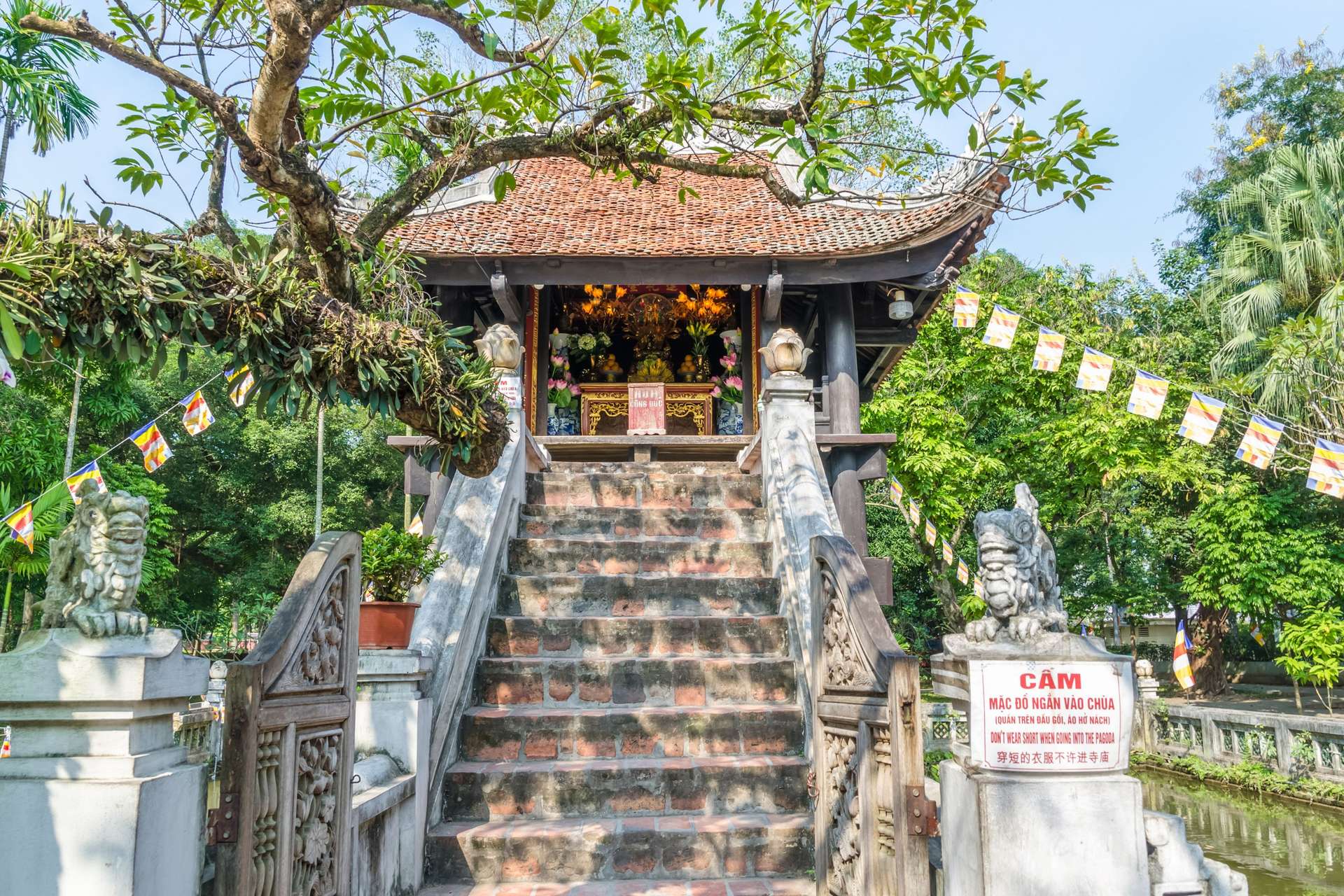Tết đến người dân thường đến thăm quan chùa Một Cột và cầu nguyện năm mới ấm no, hạnh phúc