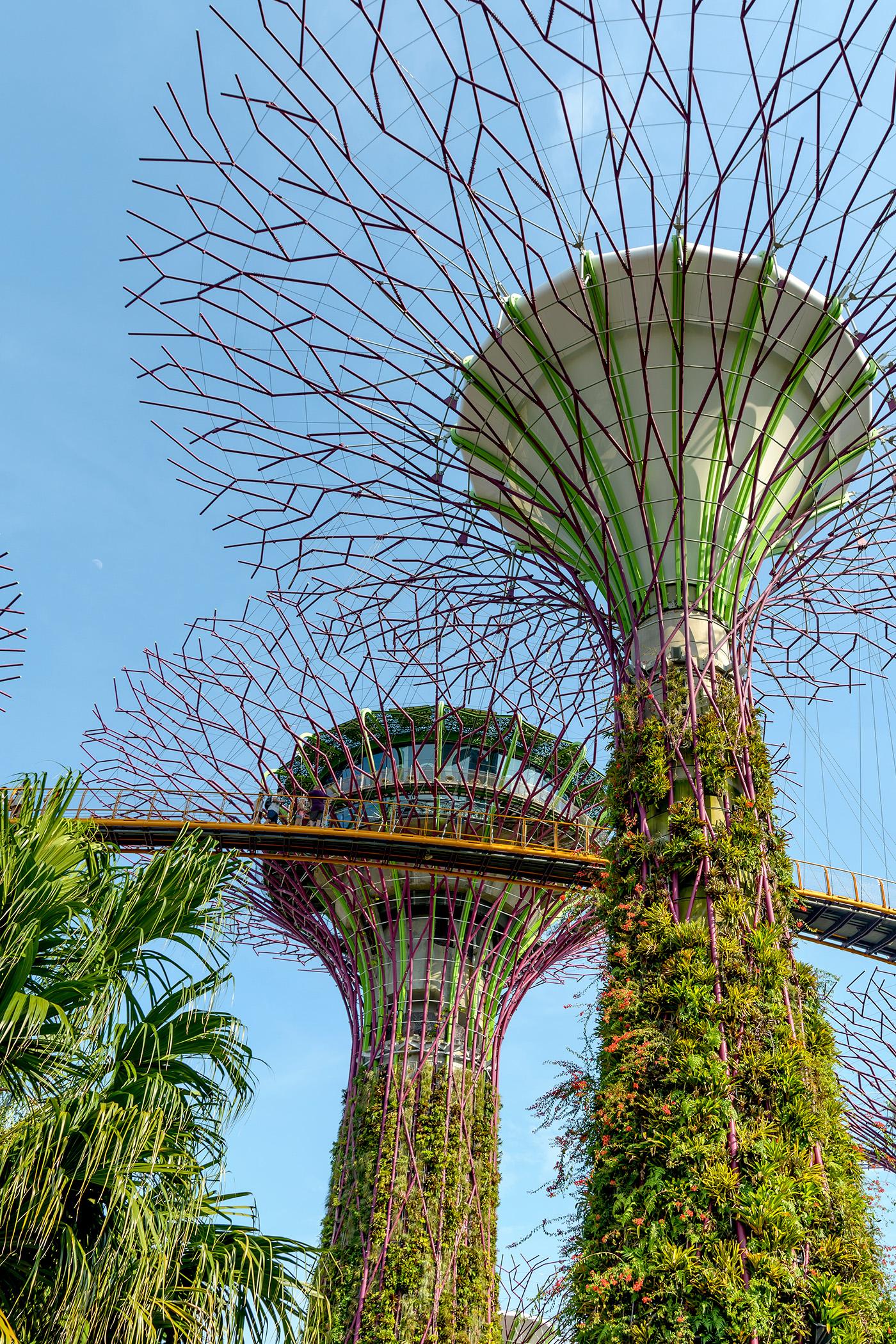 Du thuyền khởi hành từ Singapore