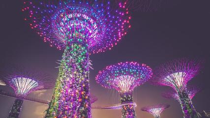 Singapore, 738 accommodations