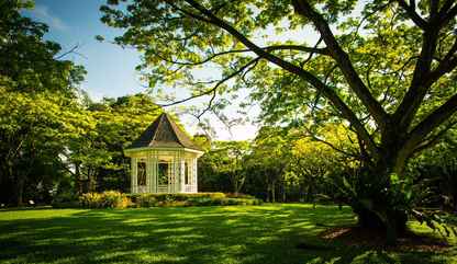 สวนพฤกษศาสตร์สิงคโปร์
