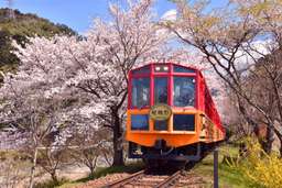 京都・嵯峨野観光鉄道 – トロッコ列車　日付指定チケット