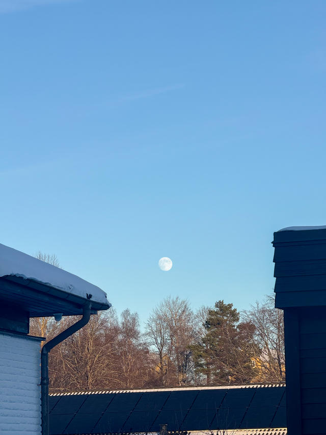 A clear blue sky with a visible moon above snow-covered rooftops and bare trees on a sunny winter day.